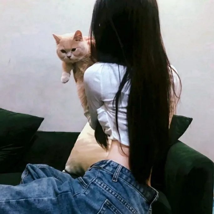 狐狸捕手
